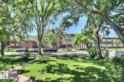 Lush green lawn framed by mature trees, featuring a paved walkway and a black metal fence - 