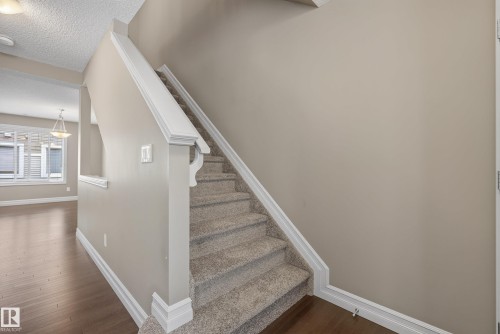 Carpeted staircase with white trim, leading to an upper level - 53 3625 144 Avenue, Edmonton, AB 
