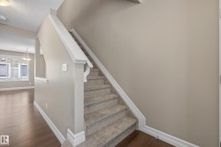 Carpeted staircase with white trim, leading to an upper level - 