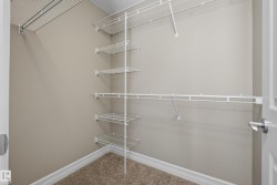 Walk-in closet featuring wire shelving, wire hanging rods, and neutral-toned carpet flooring - 