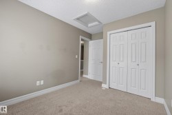 Neutral paint palette and carpeted flooring - 