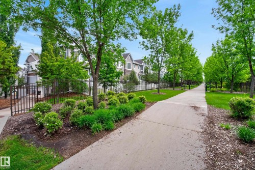 Paved walkway bordered by mature trees and manicured landscaping - 53 3625 144 Avenue, Edmonton, AB 