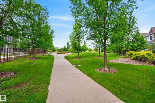 Paved pathway surrounded by manicured lawns and mature trees - 53 3625 144 Avenue, Edmonton, AB 