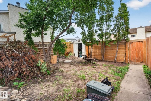 Fenced backyard featuring mature trees, a concrete pathway, and an exterior storage shed - 8316 157 Avenue, Edmonton, AB 