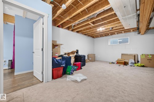 Unfinished basement space featuring exposed wood joists, a small horizontal window, and existing wall framing - 1512 Cunningham Cape, Edmonton, AB 