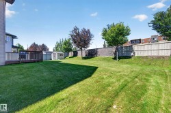 Expansive green lawn with a composite deck, mature trees, and a storage shed - 