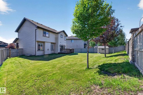 Spacious fenced backyard featuring a grassy lawn, mature trees, and a storage shed - 1512 Cunningham Cape, Edmonton, AB 