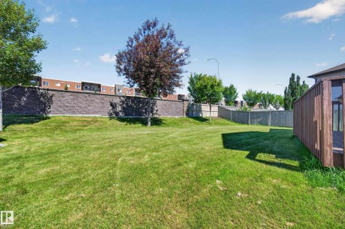 Expansive green lawn with a privacy fence and mature trees - 1512 Cunningham Cape, Edmonton, AB 