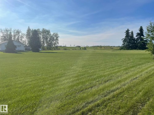 Expansive green lawn with a clear sky backdrop - 7432 Elmer Road, Edmonton, AB 