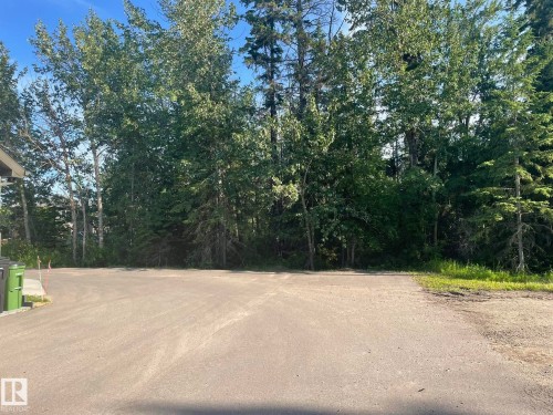 Paved driveway with ample parking, bordered by dense mature trees and varied foliage - 7432 Elmer Road, Edmonton, AB 