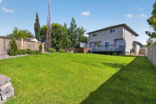 Expansive backyard featuring a lush green lawn, full privacy fencing, established perimeter landscaping, a two-story residence with light gray siding, and a spacious wooden deck - 13406 32A Street, Edmonton, AB 