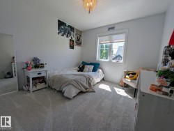 Bright bedroom featuring a large window, neutral carpeting, and a beaded semi-flushmount ceiling fixture - 