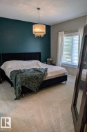 Plush carpeting throughout, accented by a contrasting accent wall - 