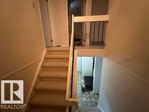 Carpeted staircase with white risers and railing, featuring a partial black metal baluster - 18020 96 Avenue, Edmonton, AB 