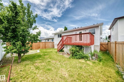 Expansive backyard featuring a mature tree, wood-finish privacy fencing, and a raised wooden deck with railings - 13124 36 Street, Edmonton, AB 
