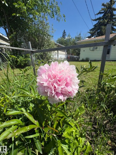 13032 90 Street, Edmonton, AB 