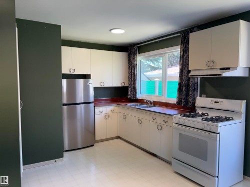 13032 90 Street Nw, Edmonton, AB - Indoor Photo Showing Kitchen With Double Sink