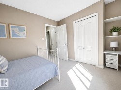 Neutral tone wall finish with light-colored carpeting - 