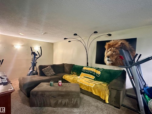 Carpeted recreation room with ample wall space - 10619 108 Avenue, Westlock, AB - Indoor Photo Showing Other Room