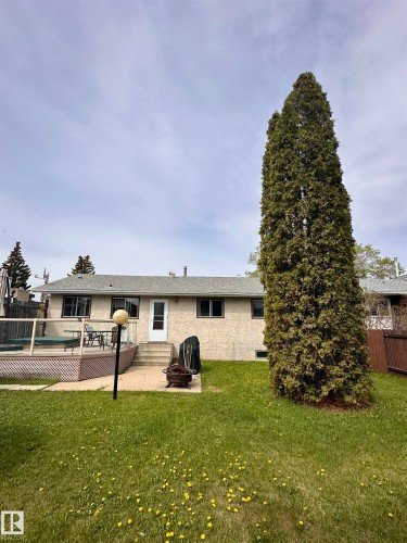 Rear exterior showcasing a spacious lawn and a prominent mature evergreen tree - 10619 108 Avenue, Westlock, AB - Outdoor