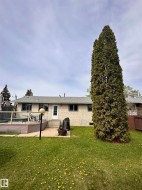 Rear exterior showcasing a spacious lawn and a prominent mature evergreen tree - 