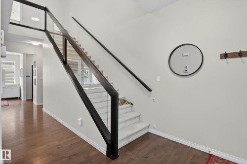 Modern staircase featuring glass panel railings, dark wood handrails, and carpeted treads - 2007 72 Street, Edmonton, AB - Indoor Photo Showing Other Room