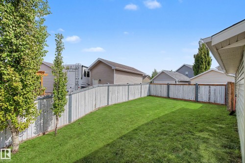 Expansive grassy yard with mature trees and a privacy fence - 2007 72 Street, Edmonton, AB - Outdoor
