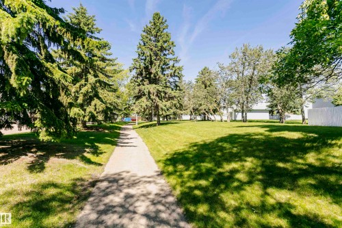 Paved pathway bordered by mature evergreen trees and a manicured lawn - 5418 144B Avenue, Edmonton, AB 