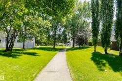 Paved pathway bordered by verdant lawns and mature trees - 