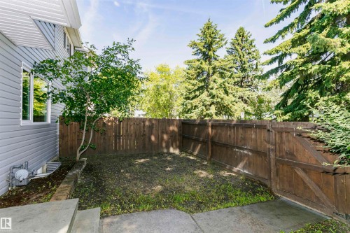 Fenced yard space featuring a mature privacy fence, concrete patio, and garden bed with established greenery - 5418 144B Avenue, Edmonton, AB 