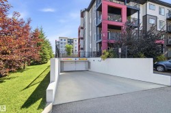 Underground parking garage entrance featuring a concrete ramp and security gate, bordered by manicured green space and mature deciduous and coniferous trees - 