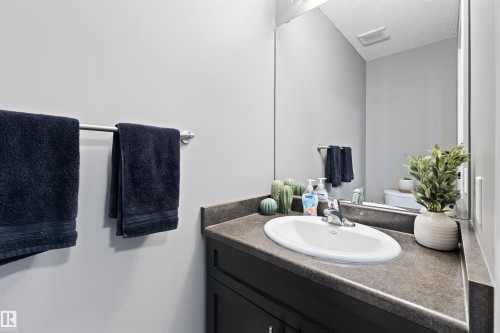60 Red Tail Way, St. Albert, AB - Indoor Photo Showing Bathroom