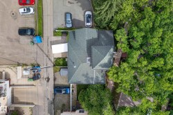 Asphalt shingle roof with a skylight, surrounded by mature green trees - 
