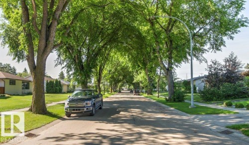 Tree-lined streetscape featuring mature foliage creating a natural canopy - 10235 74 Street, Edmonton, AB 