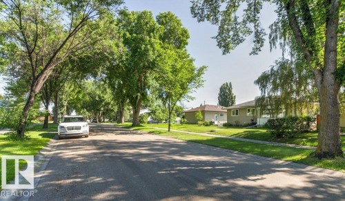 Tree-lined street with established homes featuring pitched roofs and mature landscaping - 10235 74 Street, Edmonton, AB 