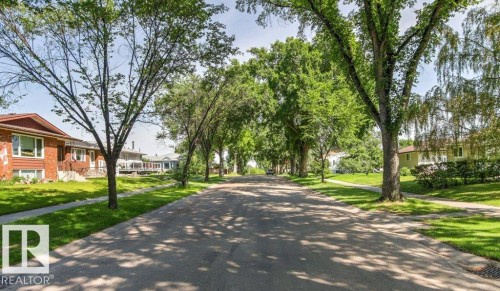 Tree-lined street featuring mature deciduous trees and residential properties with manicured lawns - 10235 74 Street, Edmonton, AB 