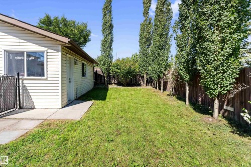 Expansive grassy yard featuring a wood fence, mature trees, and a concrete patio - 15252 81 Street, Edmonton, AB 