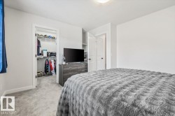 Carpeted interior space featuring a walk-in closet with built-in shelving, a dresser with storage, and a separate interior door - 