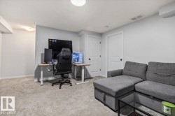 Spacious carpeted room featuring light gray walls, two paneled doors with black hardware, and an overhead flush-mount light fixture - 