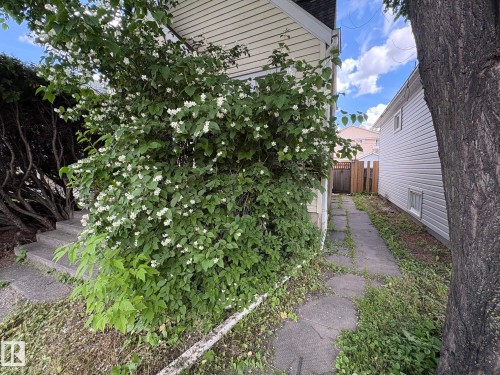 Lush flowering shrubbery enhancing the property's exterior - 11511 101 Street, Edmonton, AB 