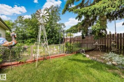 Manicured lawn area with a decorative windmill - 