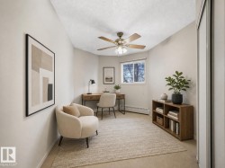Neutral tone walls with carpeted flooring - 