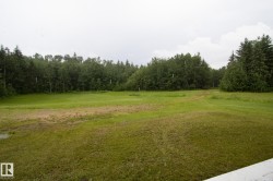 Expansive grassy area with a backdrop of mature trees - 
