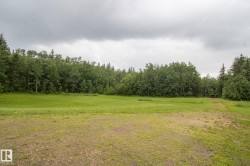 Expansive cleared land featuring a natural tree line boundary, a small structure visible in the distance, and a natural ground path - 