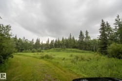 Expansive green space with mature evergreen and deciduous trees - 