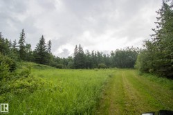 Expansive green landscape featuring a natural grass pathway, diverse mature trees, and a distant treeline - 