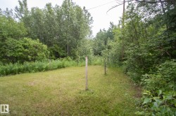 Expansive grassy area bordered by dense mature trees and natural foliage - 