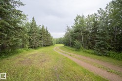 Gravel pathway winding through a verdant landscape - 