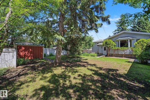 Expansive grassy yard featuring mature trees and a red shed with white trim - 9516 146 Street, Edmonton, AB 
