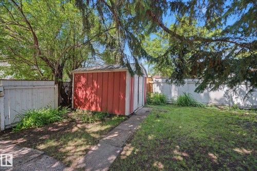 Yard featuring a red and white utility shed with a gray shingled roof, bordered by a white privacy fence - 9516 146 Street, Edmonton, AB 